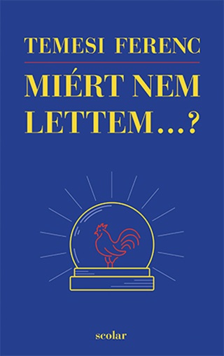 Temesi Ferenc - Mirt Nem Lettem...?