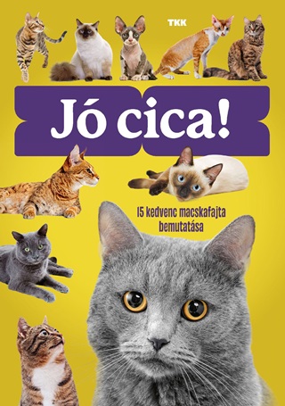 Tkk - J Cica - 15 Kedvenc Macskafajta Bemutatsa