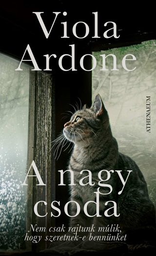 Viola Ardone - A Nagy Csoda
