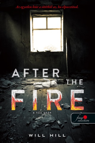 Will Hill - After The Fire - A Tz Utn