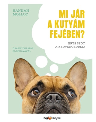 Hannah Molloy - Mi Jr A Kutym Fejben? - rts Szt A Kedvenceddel!