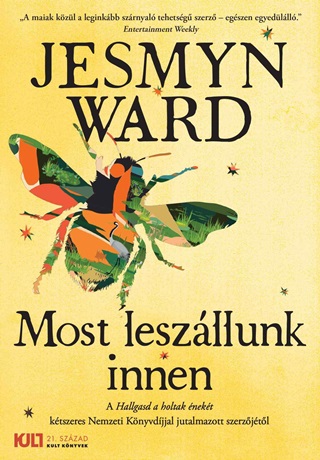 Jesmyn Ward - Most Leszllunk Innen