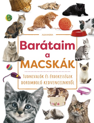  - Bartaim, A Macskk