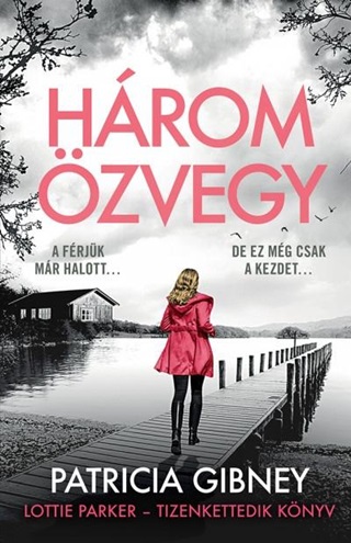 Patricia Gibney - Hrom zvegy - Lottie Parker 12.