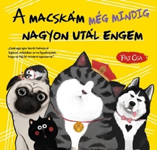 Paj Csa - A Macskm Mg Mindig Nagyon Utl Engem