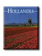 Nino Gorio - Hollandia - j Kilt -