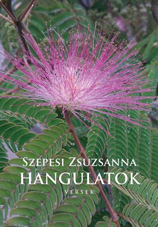 Szepesi Zsuzsanna - Hangulatok - Versek