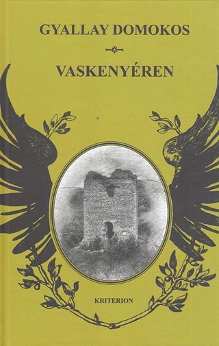 Vaskenyren